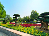 万寿园 环境9.jpg